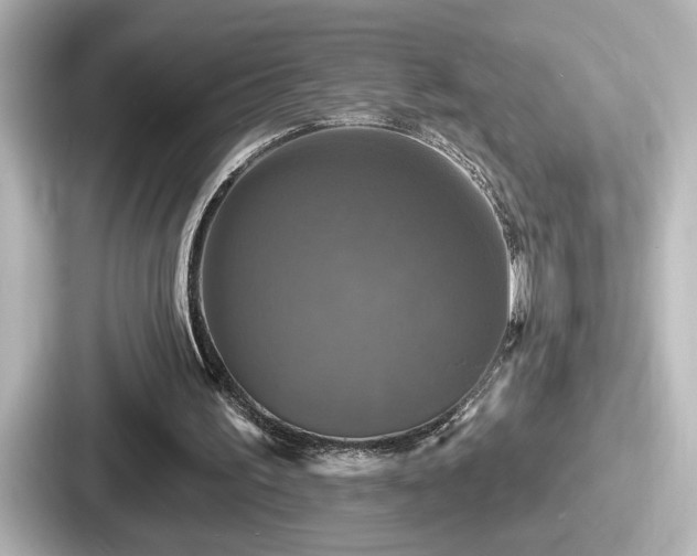 X0000087630195200705101034