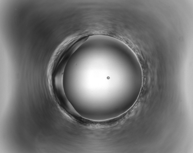 X0000087630197200705101034