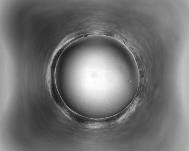 X0000087630198200705101034