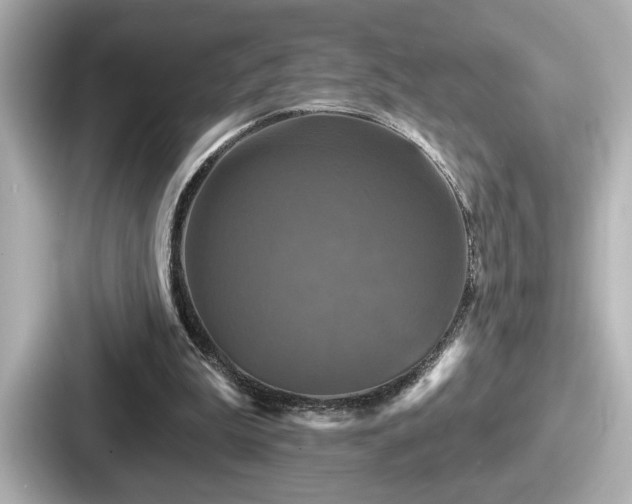 X0000087630199200705101034