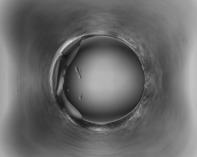 X0000087630200200705101034