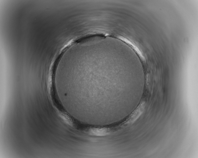 X0000087630202200705101034