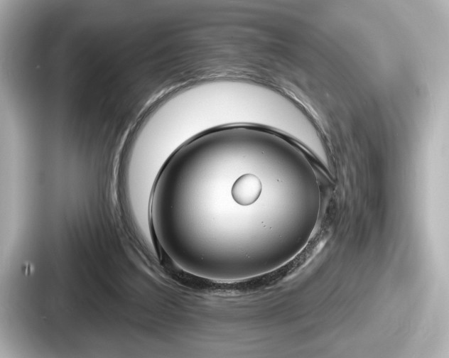 X0000087630203200705101034