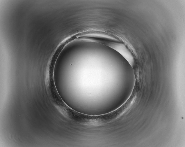 X0000087630204200705101034