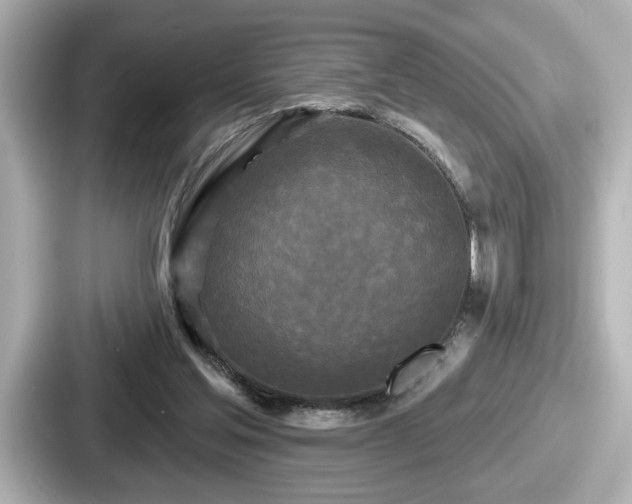 X0000087630205200705101034