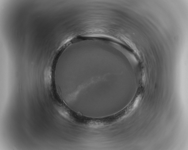 X0000087630207200705101034