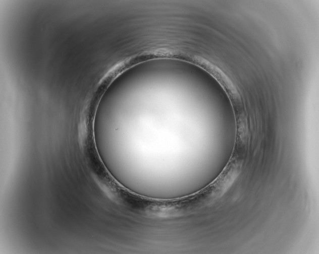 X0000087630208200705101034