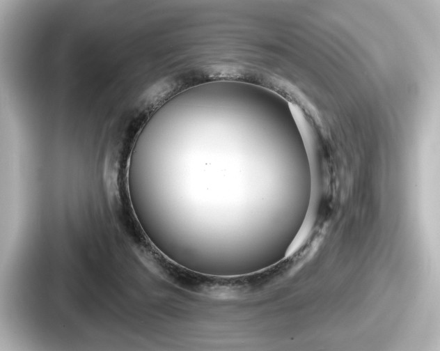 X0000087630209200705101034