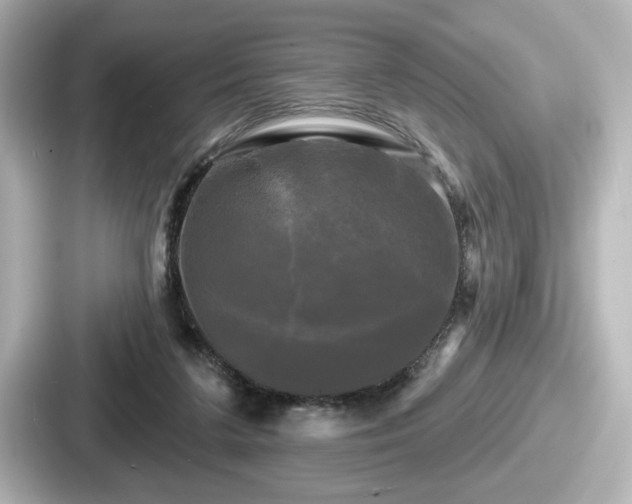 X0000087630211200705101034