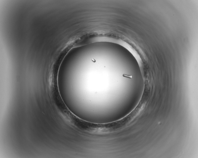 X0000087630212200705101034