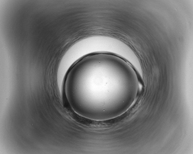 X0000087630215200705101034