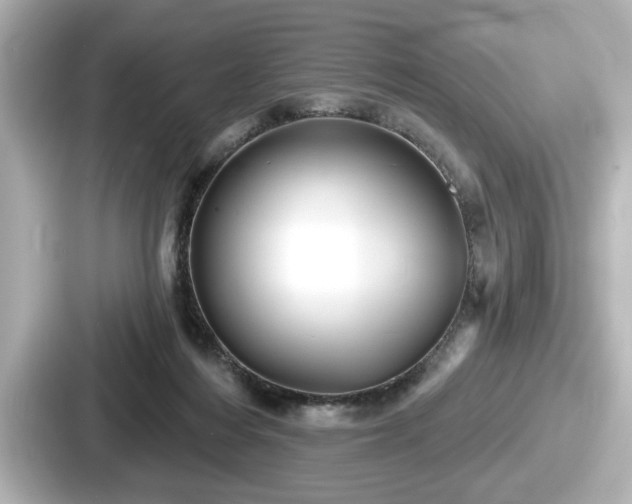 X0000087630216200705101034