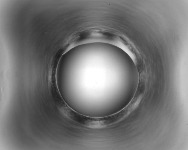 X0000087630217200705101034