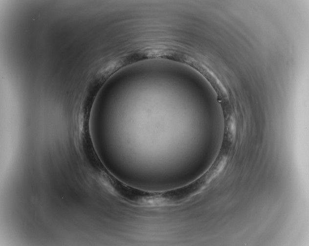 X0000087630219200705101034