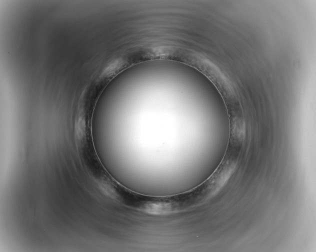 X0000087630220200705101034