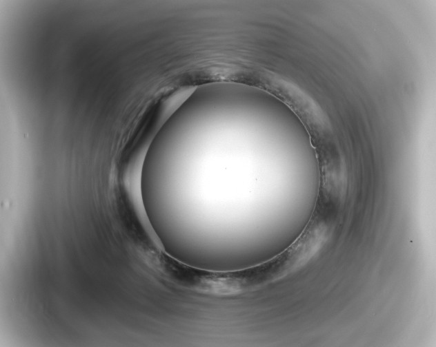 X0000087630221200705101034