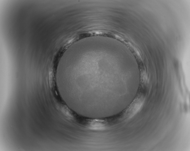 X0000087630222200705101034