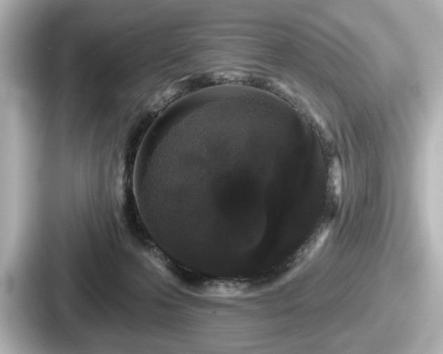 X0000087630223200705101034