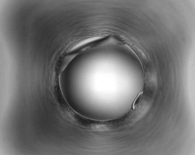 X0000087630224200705101034