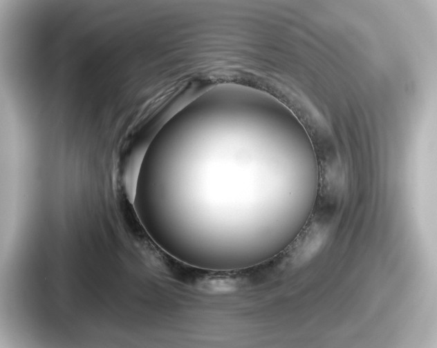 X0000087630228200705101034