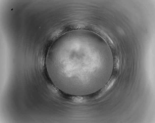 X0000087630230200705101034