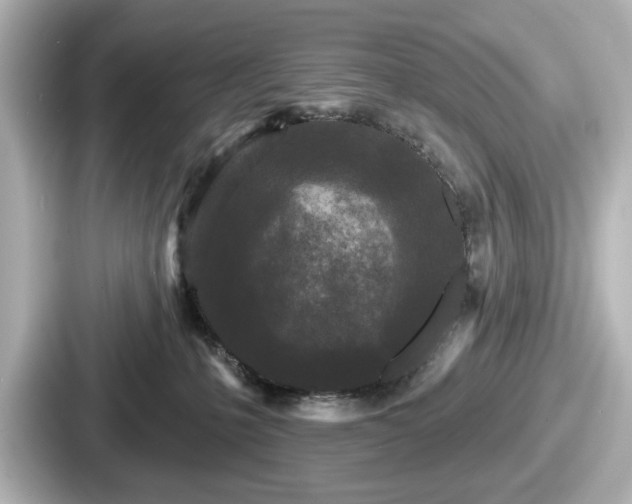 X0000087630231200705101034