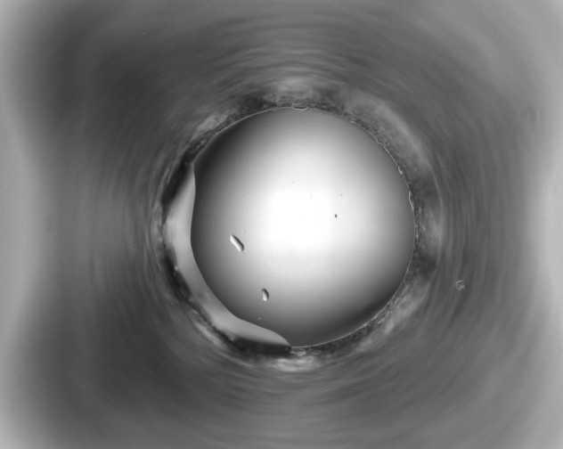 X0000087630232200705101034