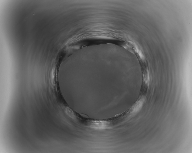 X0000087630233200705101034