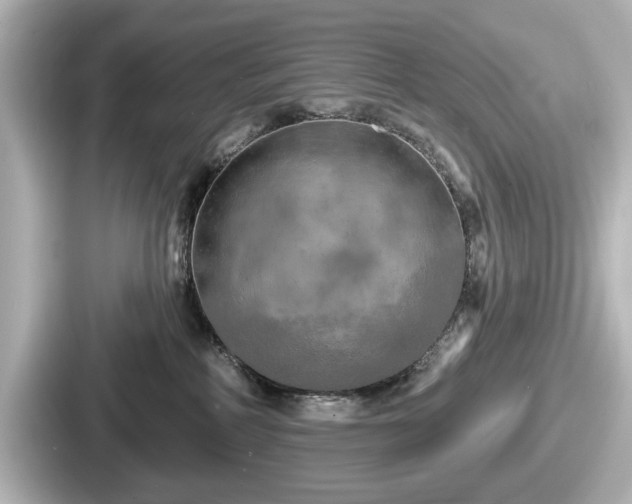 X0000087630234200705101034