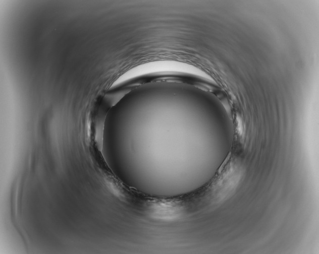 X0000087630235200705101034