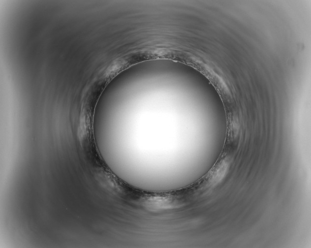 X0000087630236200705101034