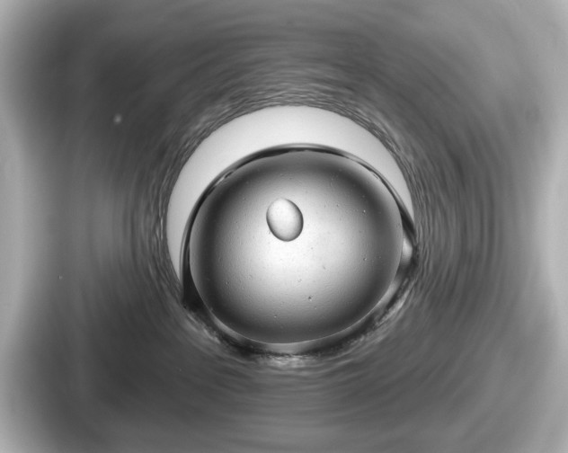 X0000087630237200705101034