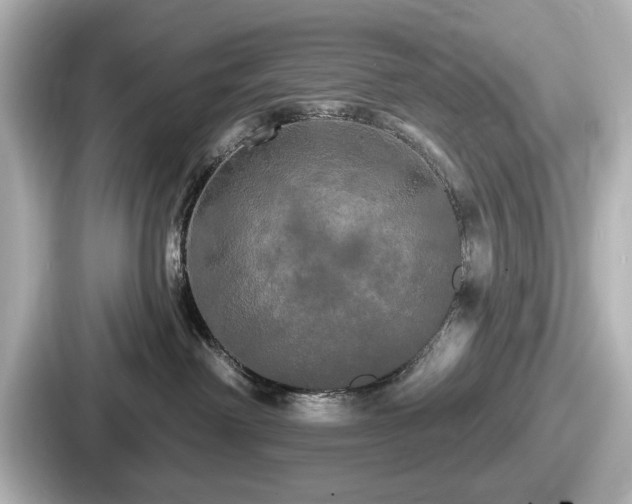 X0000087630238200705101034