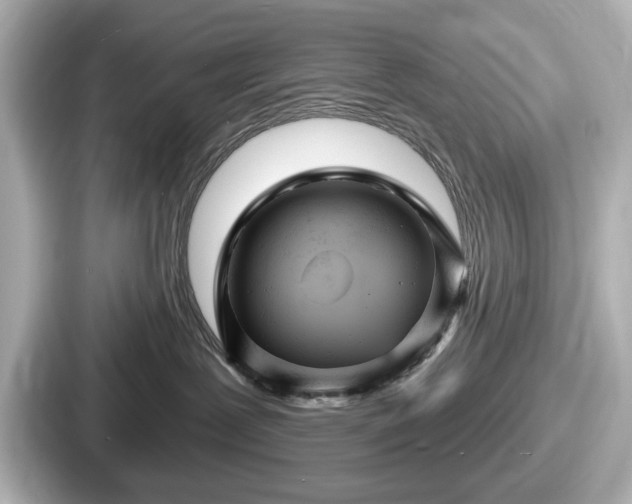 X0000087630239200705101034