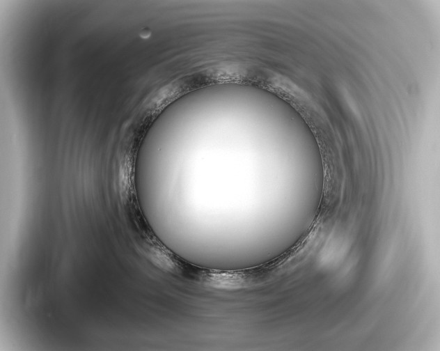 X0000087630240200705101034