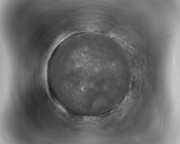 X0000087630242200705101033