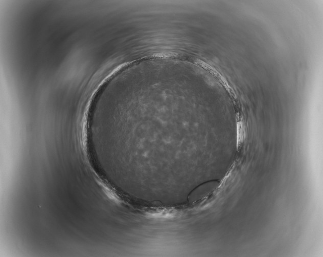 X0000087630243200705101033