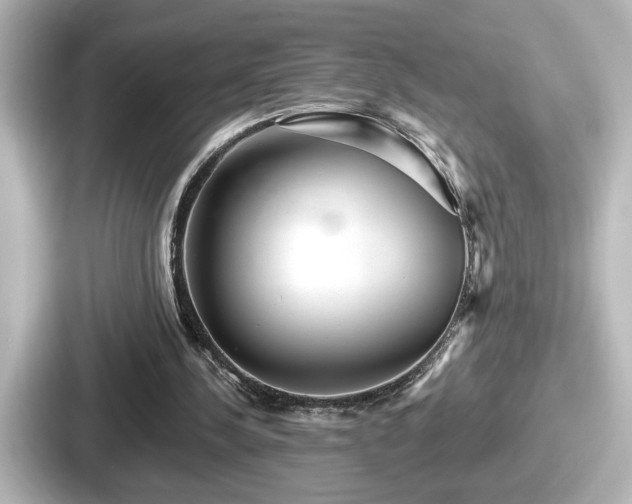 X0000087630244200705101033