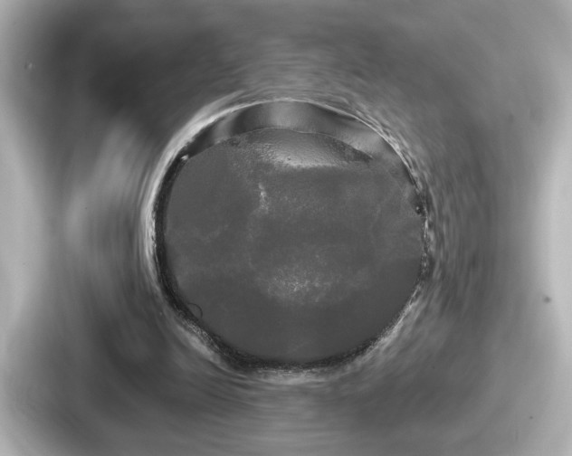 X0000087630246200705101033