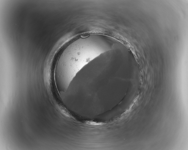 X0000087630247200705101033