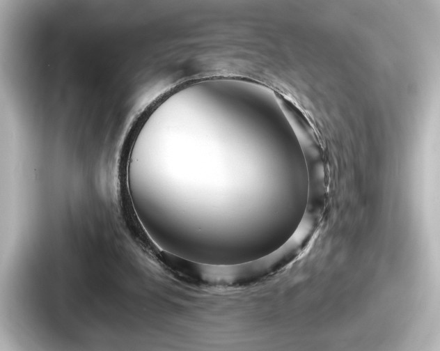 X0000087630248200705101033