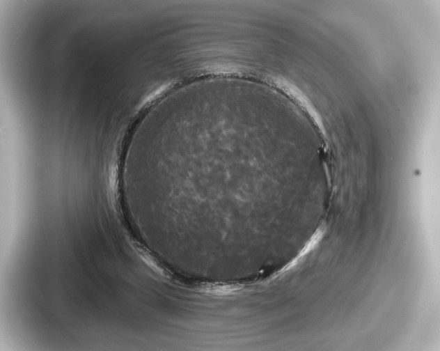 X0000087630249200705101033