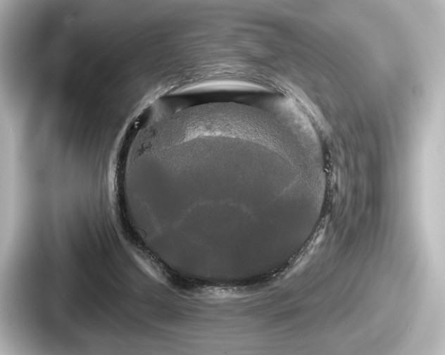 X0000087630250200705101033