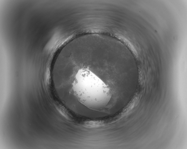 X0000087630251200705101033