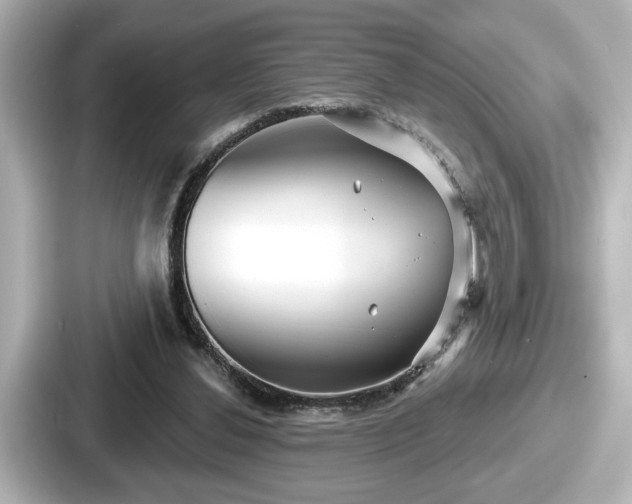 X0000087630252200705101033