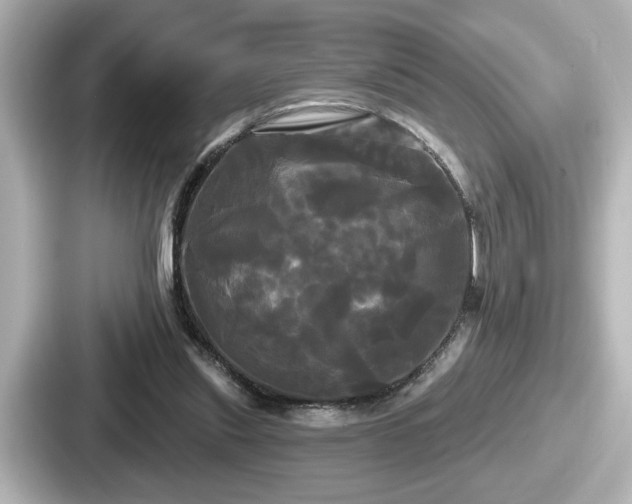 X0000087630253200705101033