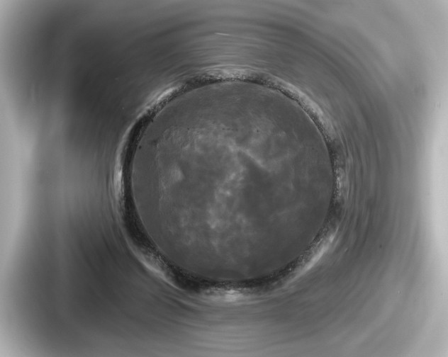 X0000087630254200705101033