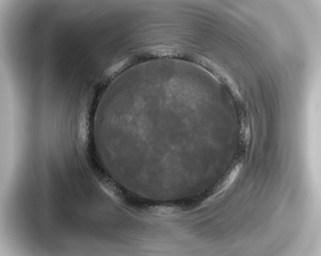 X0000087630255200705101033