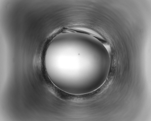 X0000087630256200705101033