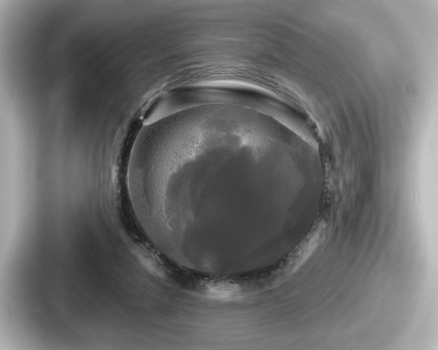 X0000087630258200705101033